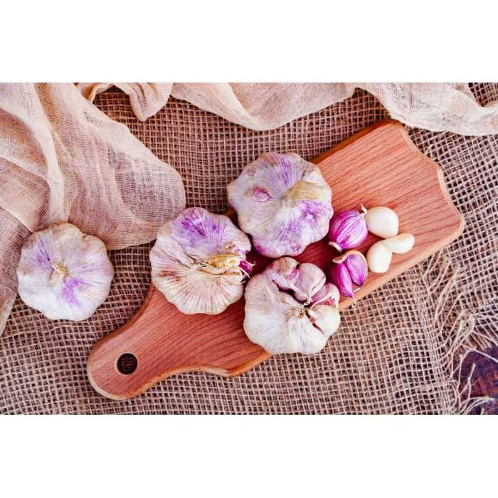 Organic smoked garlic from France