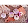 Organic smoked garlic from France