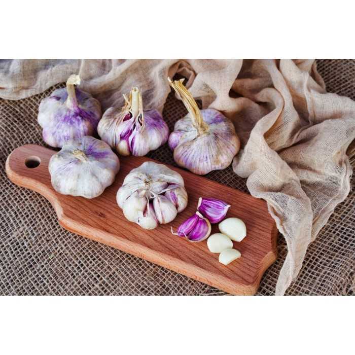 Organic smoked garlic from France