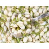 Organic dried jasmine flower buds from Morocco - Direct producer