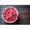 Organic dried raspberries from France - direct producer