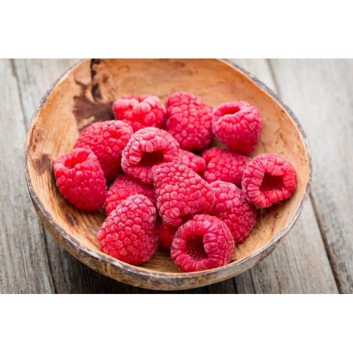 Organic dried raspberries from France - direct producer