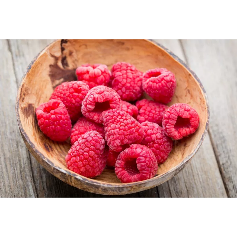 Organic dried raspberries from France - direct producer