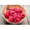 Organic dried raspberries from France - direct producer