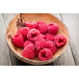 Organic dried raspberries from France - direct producer