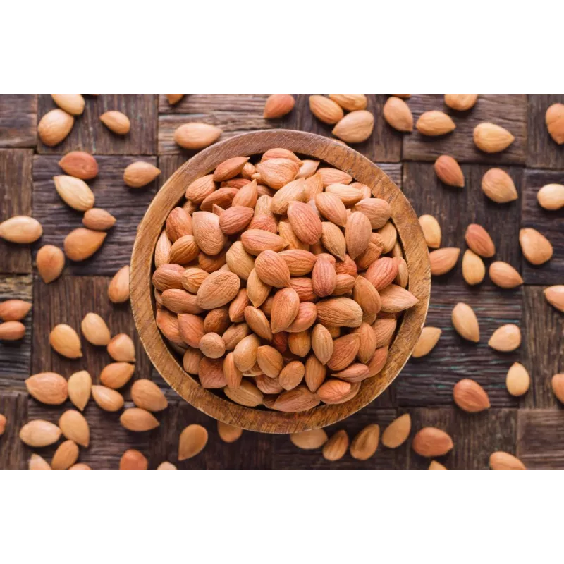 Raw organic & fairtrade dried shelled apricot kernels from Uzbekistan