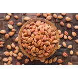 Raw organic & fairtrade dried shelled apricot kernels from Uzbekistan