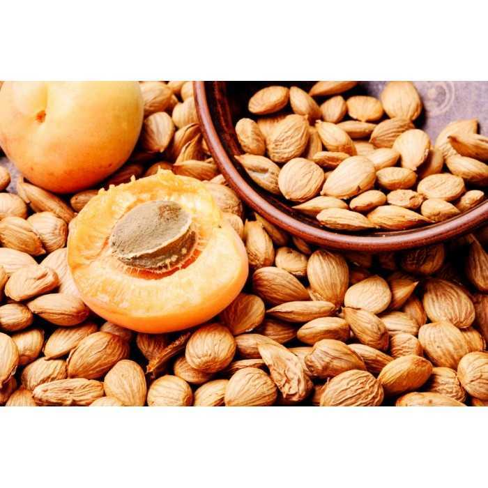 Noyaux d'Abricots séchés décortiqués crus bio & fairtrade d'Ouzbéki...