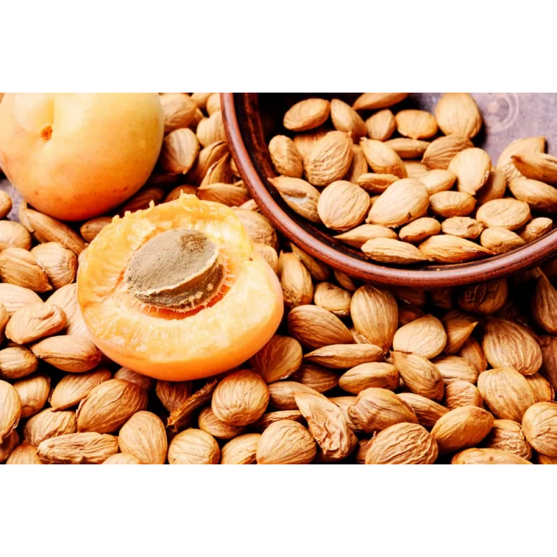 Raw organic & fairtrade dried shelled apricot kernels from Uzbekistan