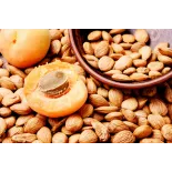 Raw organic & fairtrade dried shelled apricot kernels from Uzbekistan