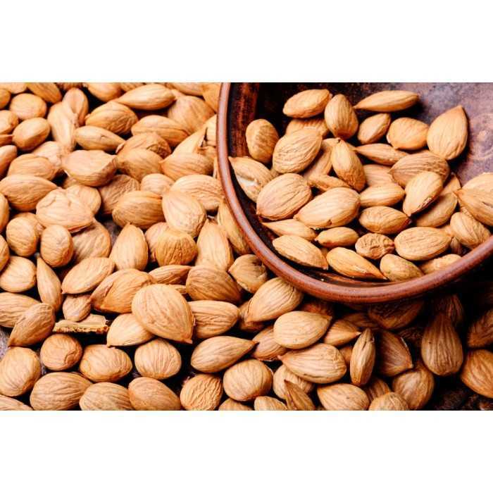 Noyaux d'Abricots séchés décortiqués crus bio & fairtrade d'Ouzbéki...