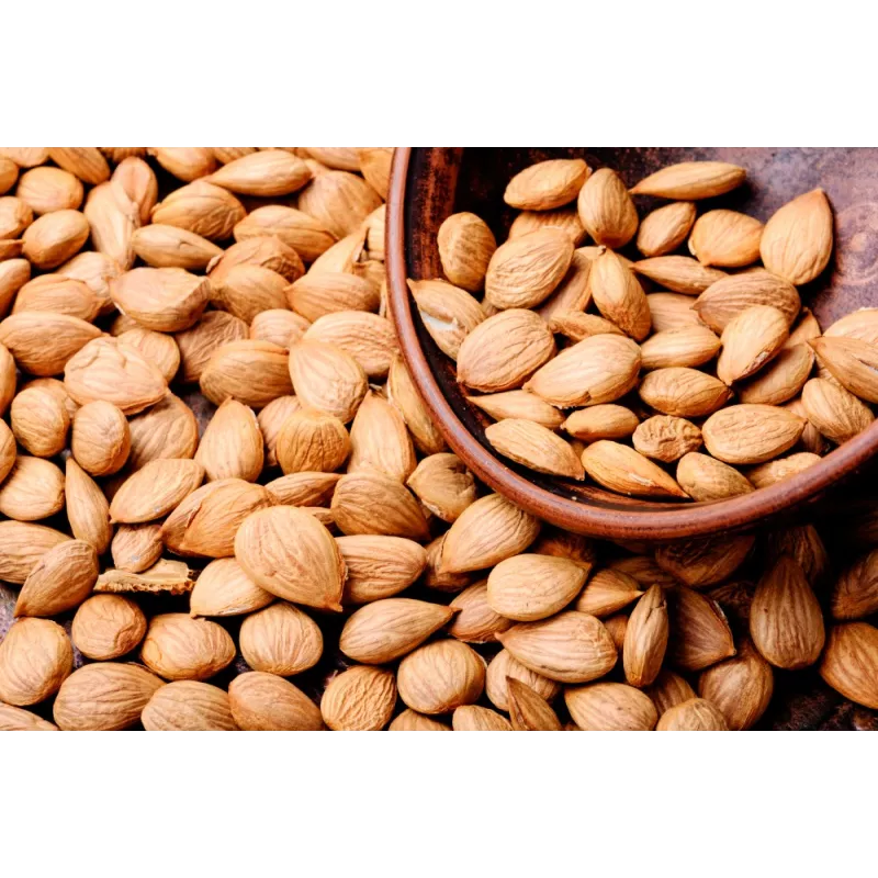 Raw organic & fairtrade dried shelled apricot kernels from Uzbekistan