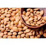 Raw organic & fairtrade dried shelled apricot kernels from Uzbekistan