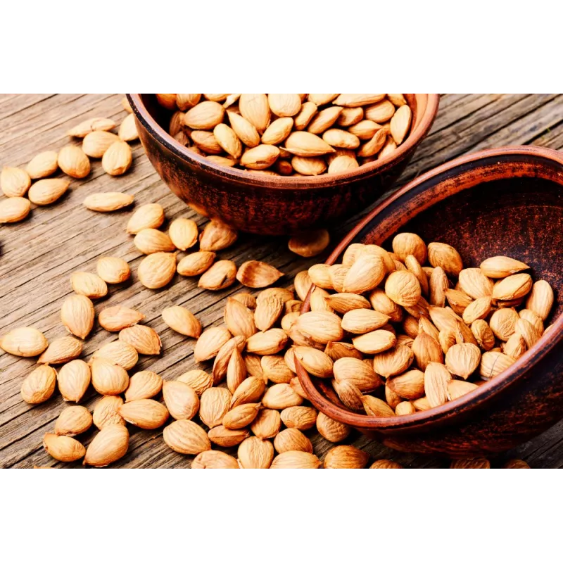 Raw organic & fairtrade dried shelled apricot kernels from Uzbekistan