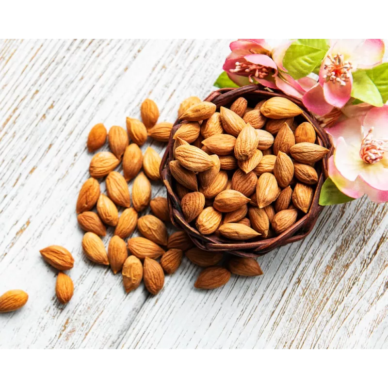Raw organic & fairtrade dried shelled apricot kernels from Uzbekistan Raw organic & fairtrade dried shelled apricot kernels from Uzbekistan