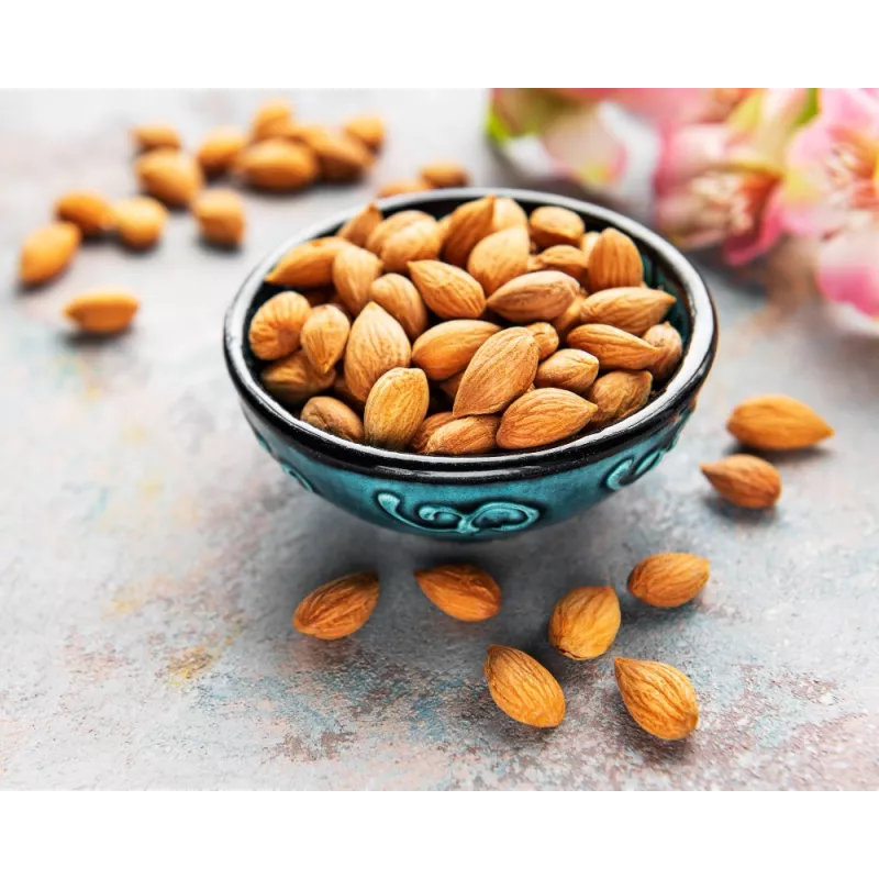 Raw organic & fairtrade dried shelled apricot kernels from Uzbekistan