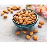 Raw organic & fairtrade dried shelled apricot kernels from Uzbekistan