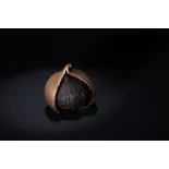 Organic black garlic PGI from Lomagne in France - Direct Producer