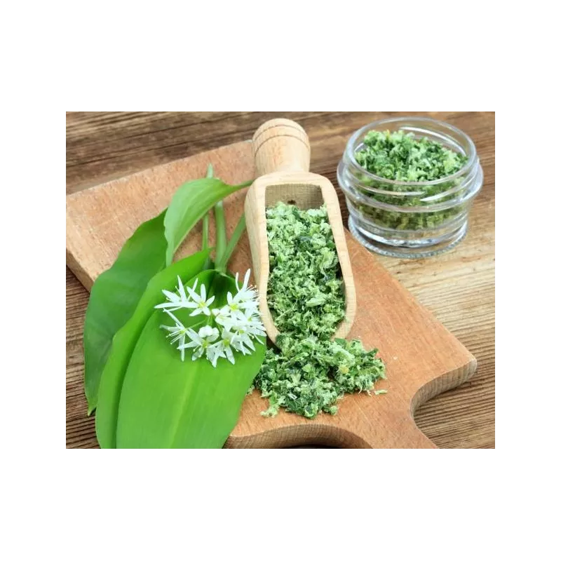 Ail des Ours séché Bio de France - Direct producteur