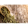 Organic fairtrade green pepper PGI from Kampot - direct producer