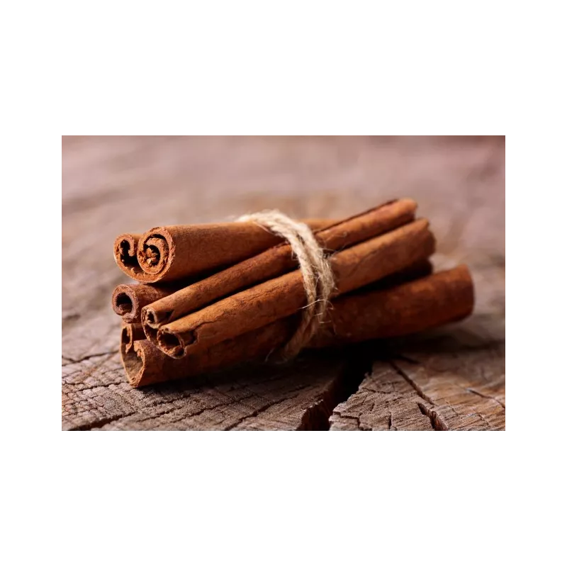 Organic cassia cinnamon stick or Saigon cinnamon from Vietnam - Pre...