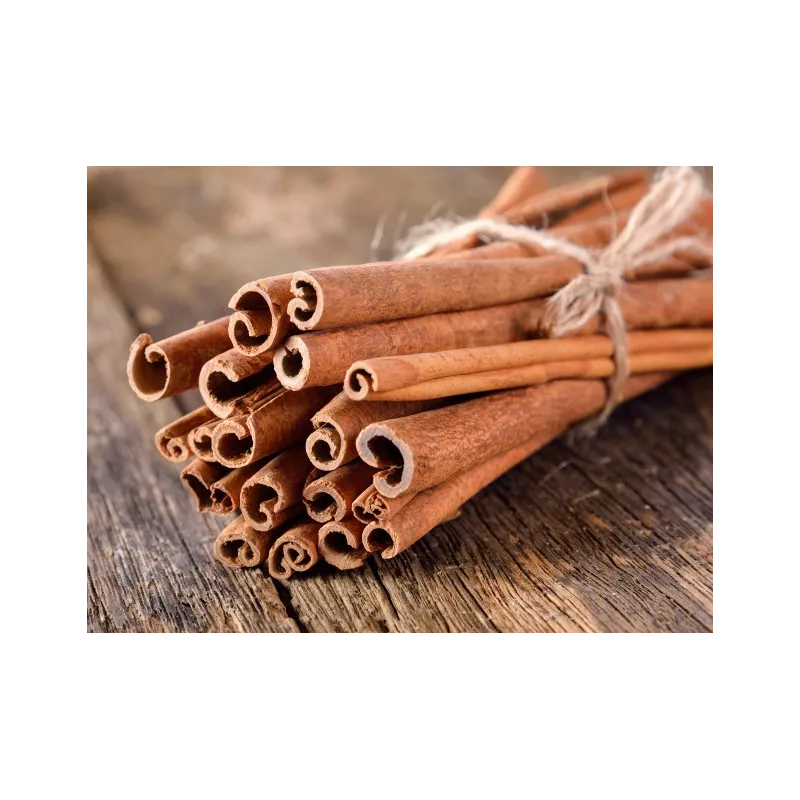 Organic cassia cinnamon stick or Saigon cinnamon from Vietnam - Pre...