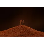 Café Bourbon Pointu bio torréfié moulu de l'île de la Réunion