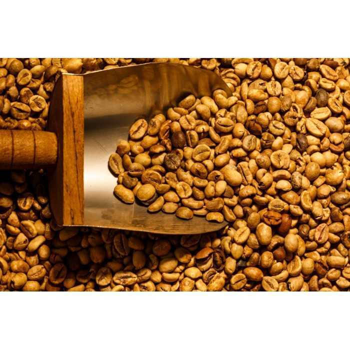 Blue Mountain Green Coffee Bean from Jamaica