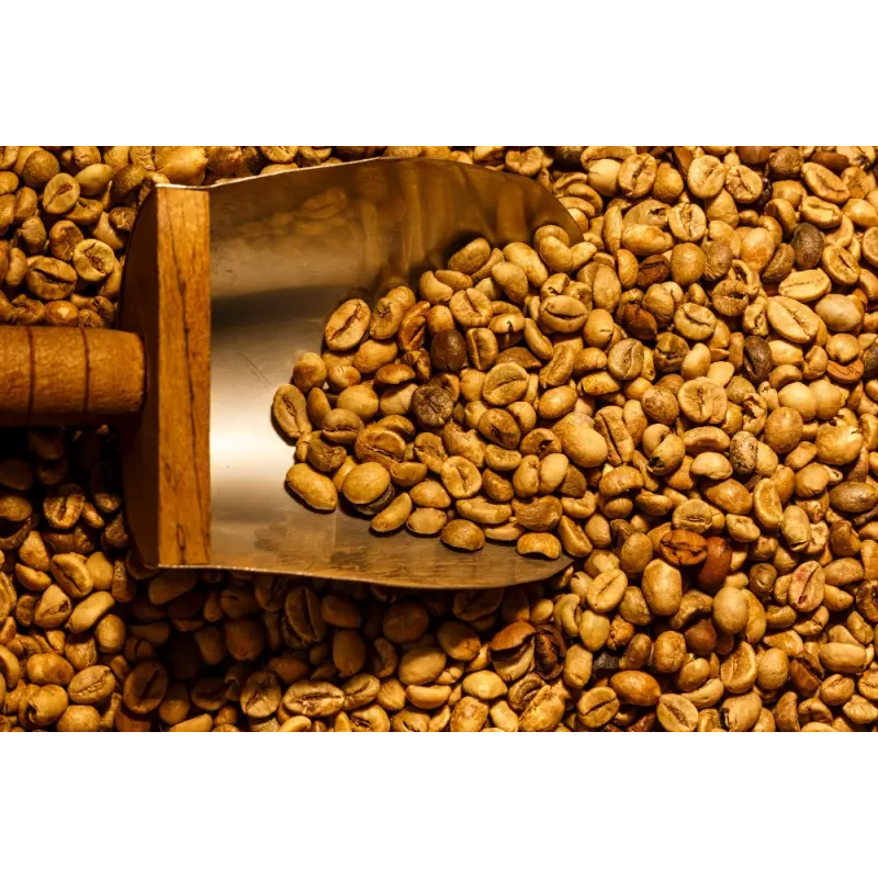 Blue Mountain Green Coffee Bean from Jamaica