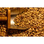 Blue Mountain Green Coffee Bean from Jamaica Blue Mountain Green Coffee Bean from Jamaica