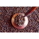 Blue Mountain Coffee bean From Jamaica - Direct roaster Blue Mountain Coffee bean From Jamaica - Direct roaster