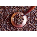 Café Blue Mountain De La Jamaïque en grain - Direct torréfacteur