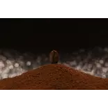 Blue Mountain ground Coffee From Jamaica - Direct roaster