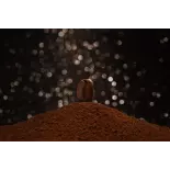 Blue Mountain ground Coffee From Jamaica - Direct roaster