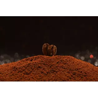 Blue Mountain ground Coffee From Jamaica - Direct roaster