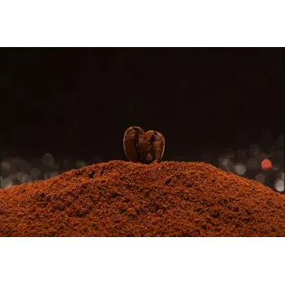 Café Blue Mountain De La Jamaïque Moulu - Direct torréfacteur