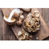 Organic extra dried porcini from France - direct producer