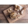 Organic extra dried porcini from France - direct producer