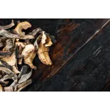 Cèpe bio séché extra de France - direct producteur