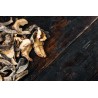Organic extra dried porcini from France - direct producer