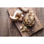 Cèpe bio séché extra de France - direct producteur
