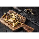 Dried porcini PGI Fungo di Borgotaro in Italy Dried porcini PGI Fungo di Borgotaro in Italy