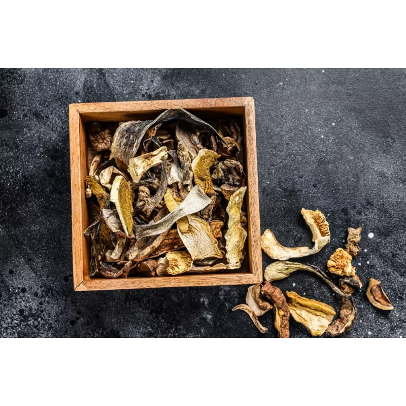 Dried porcini PGI Fungo di Borgotaro in Italy
