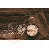 Beechwood smoked Maldon salt flake in England