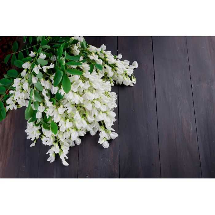 organic dried acacia flower from France - Direct producer
