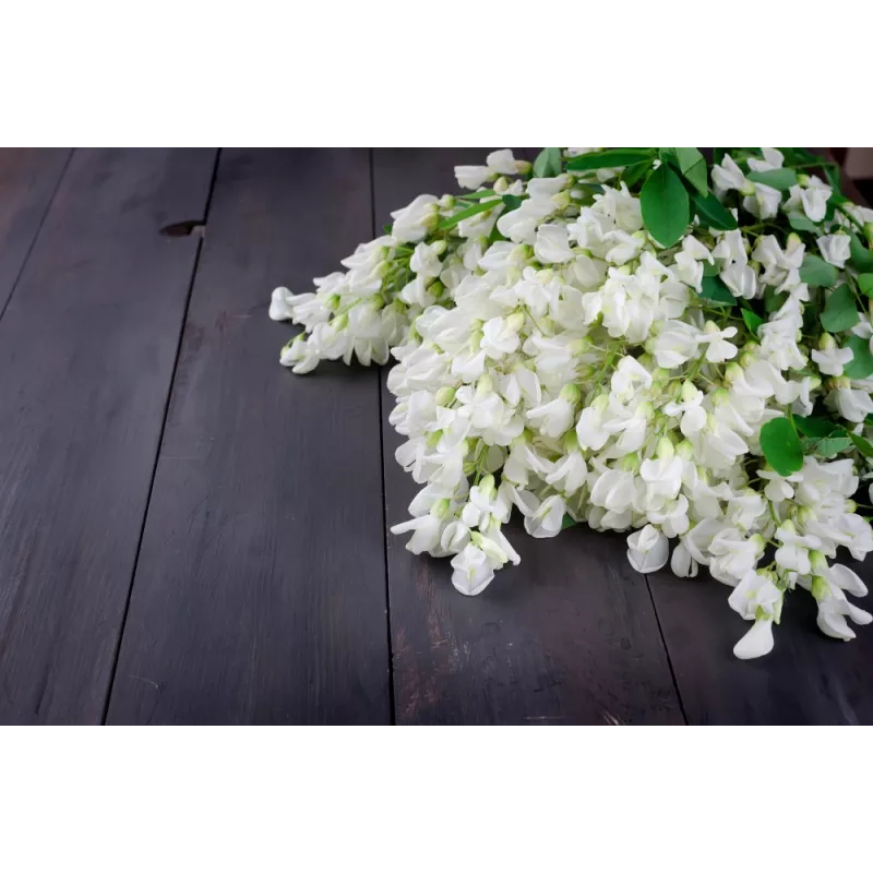 fleur d'acacia séchée bio de France - Direct producteur