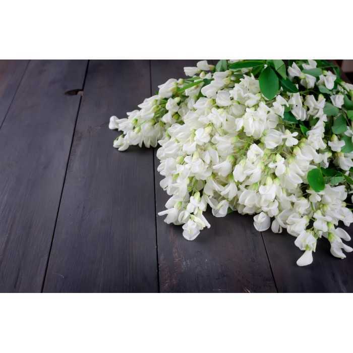 organic dried acacia flower from France - Direct producer