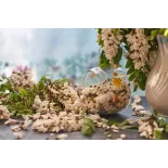 fleur d'acacia séchée bio de France - Direct producteur