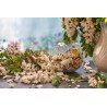 organic dried acacia flower from France - Direct producer