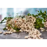 fleur d'acacia séchée bio de France - Direct producteur